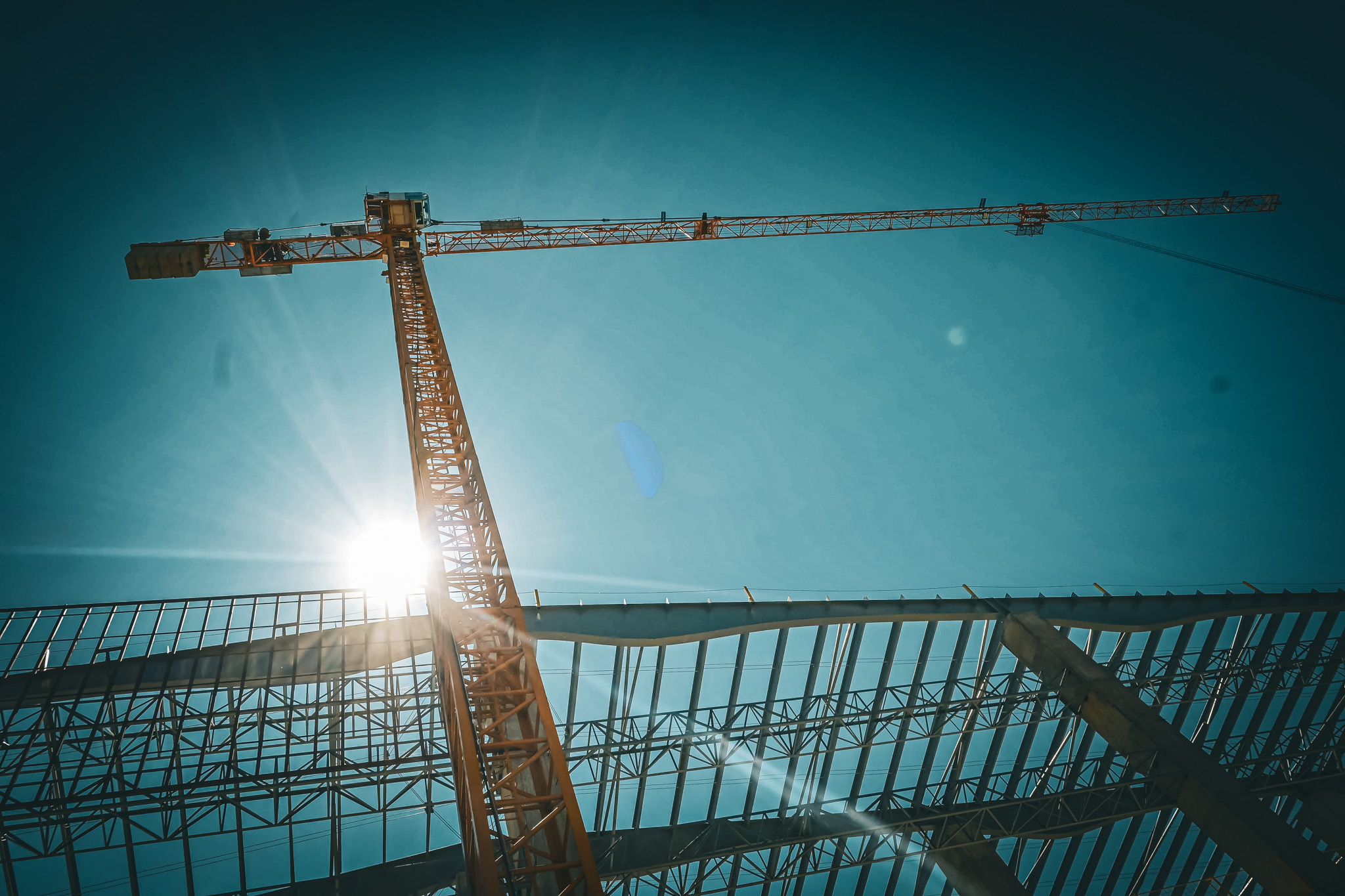 devgross_gallery (1)