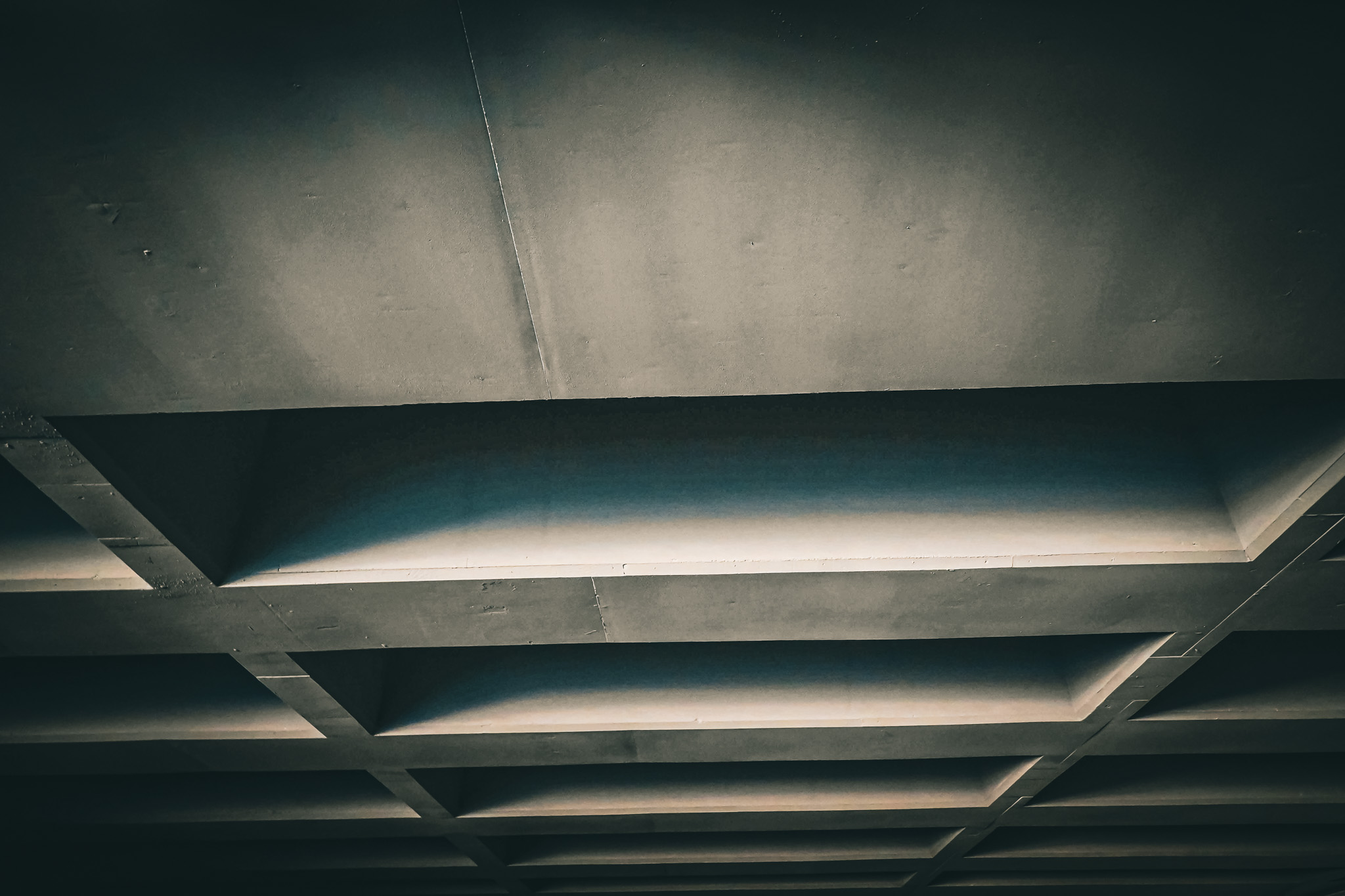 devgross_gallery (5)