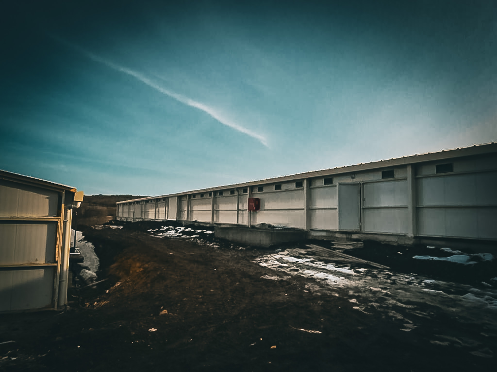 kavak_tavuk_çiftliği (2)