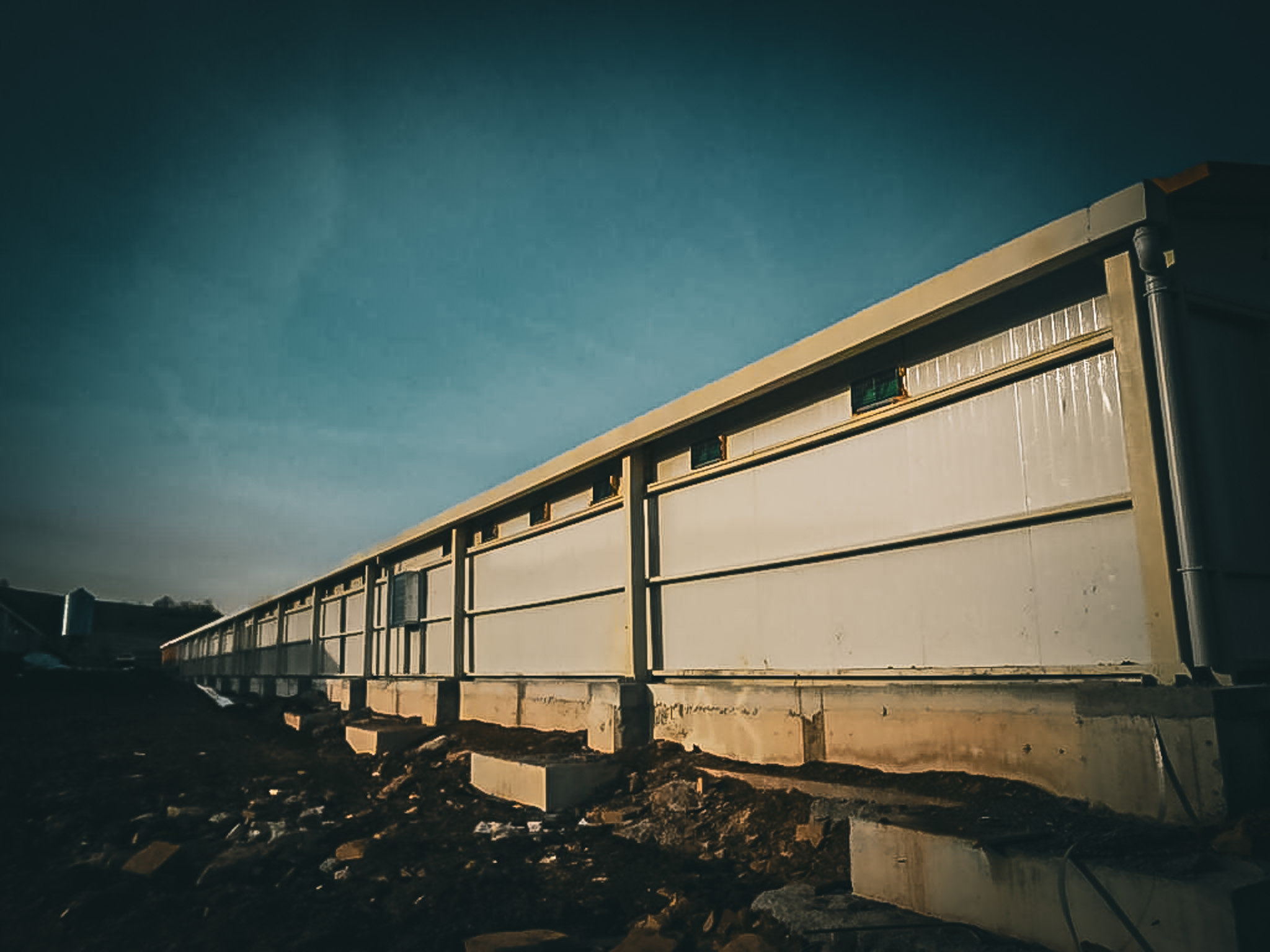 kavak_tavuk_çiftliği (3)