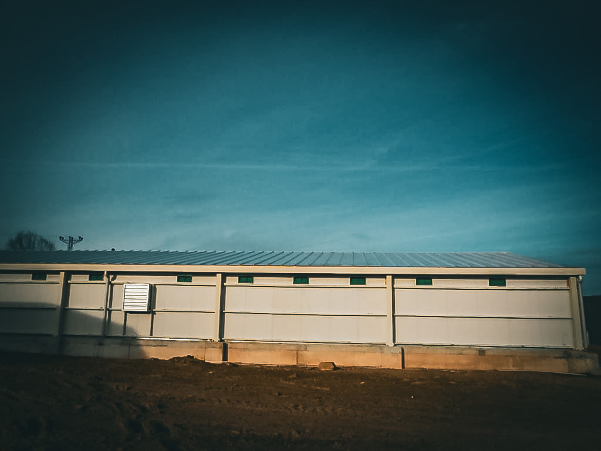 kavak_tavuk_çiftliği (5)